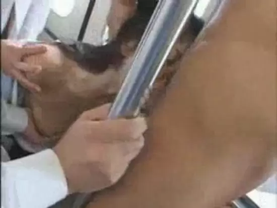 Japanese perfect girl Bus fucks